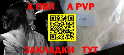 стаф Тара