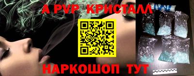стаф Тара