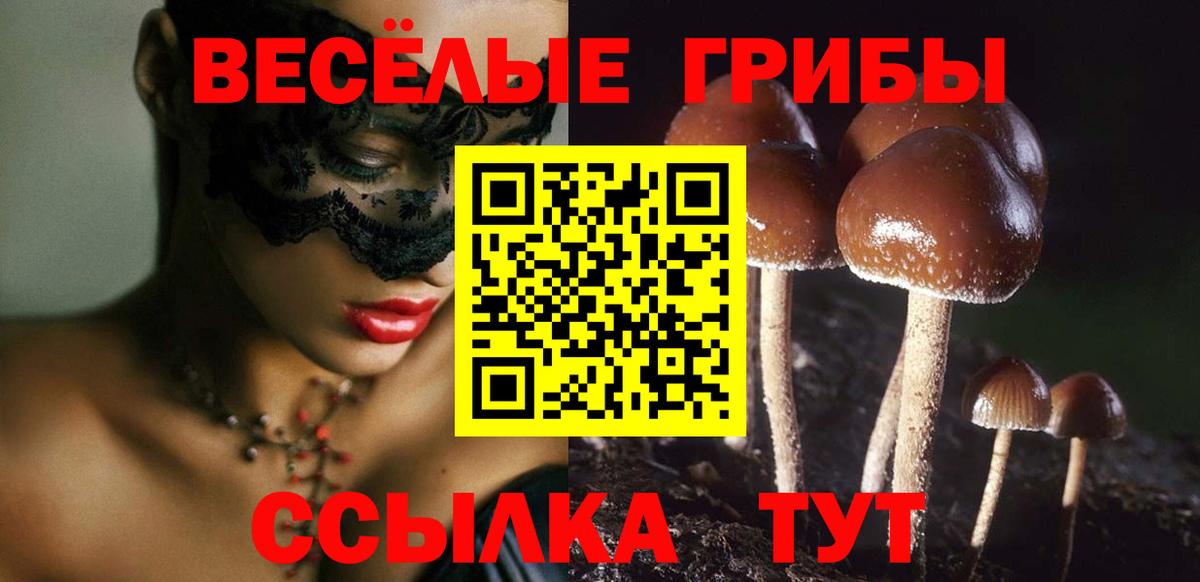 Галлюциногенные грибы MAGIC MUSHROOMS  Вход с VPN  Галлюциногенные грибы ЛСД  Ноябрьск 